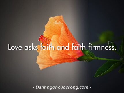 Love asks faith and faith firmness.