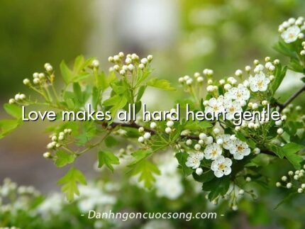 Love makes all hard heart gentle.