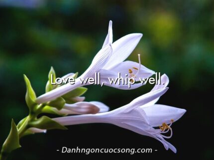 Love well, whip well.