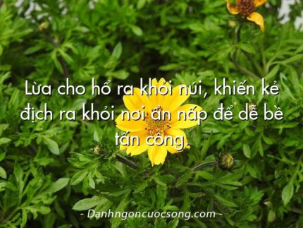Lừa cho hổ ra khỏi núi, khiến kẻ địch ra khỏi nơi ẩn nấp để dễ bề tấn công.