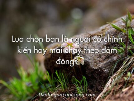 Lựa chọn bạn là người có chính kiến hay mãi chạy theo đám đông?