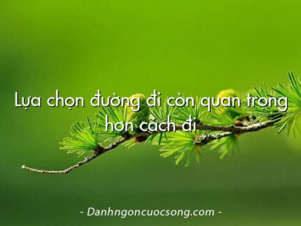 Lựa chọn đường đi còn quan trọng hơn cách đi