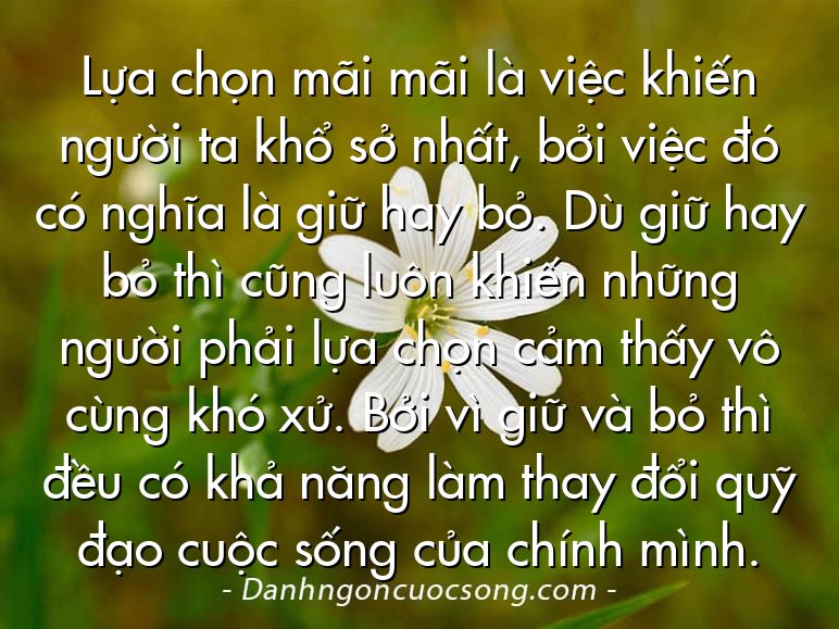 Lựa chọn mãi mãi là việc khiến người ta khổ sở nhất, bởi việc đó có nghĩa là giữ hay bỏ. Dù giữ hay bỏ thì cũng luôn khiến những người phải lựa chọn cảm thấy vô cùng khó xử. Bởi vì giữ và bỏ thì đều có khả năng làm thay đổi quỹ đạo cuộc sống của chính mình.
