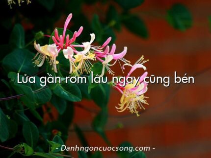 Lửa gần rơm lâu ngày cũng bén