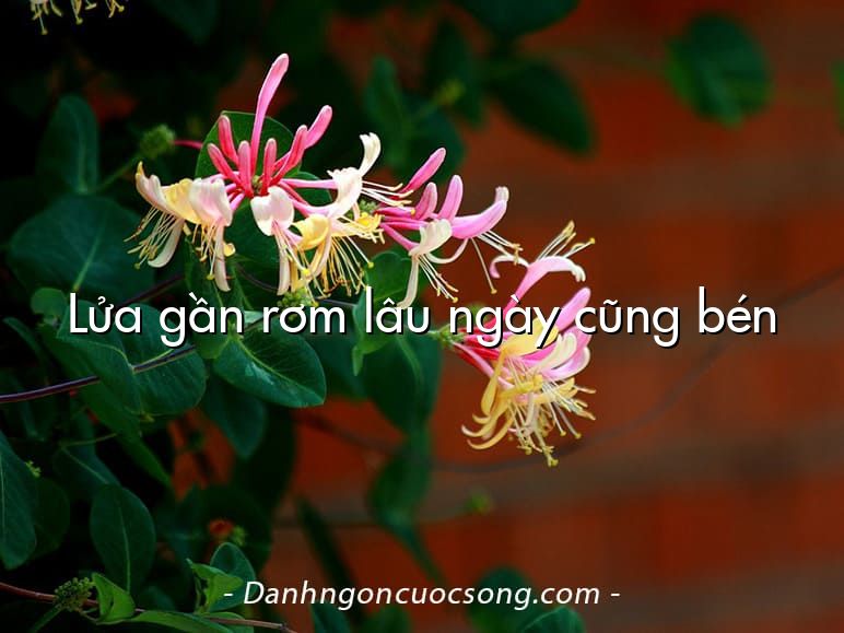Lửa gần rơm lâu ngày cũng bén