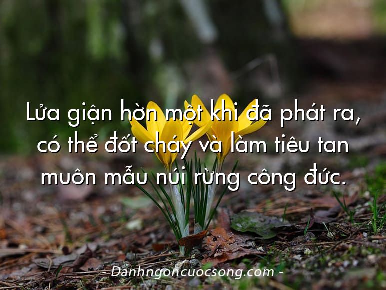 Lửa giận hờn một khi đã phát ra, có thể đốt cháy và làm tiêu tan muôn mẫu núi rừng công đức.
