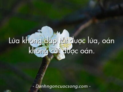 Lửa không dập tắt được lửa, oán không cởi được oán.