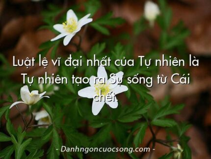 Luật lệ vĩ đại nhất của Tự nhiên là Tự nhiên tạo ra Sự sống từ Cái chết.