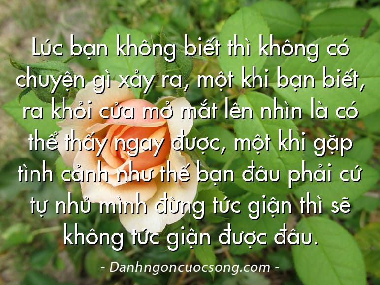 Lúc bạn không biết thì không có chuyện gì xảy ra, một khi bạn biết, ra khỏi cửa mở mắt lên nhìn là có thể thấy ngay được, một khi gặp tình cảnh như thế bạn đâu phải cứ tự nhủ mình đừng tức giận thì sẽ không tức giận được đâu.