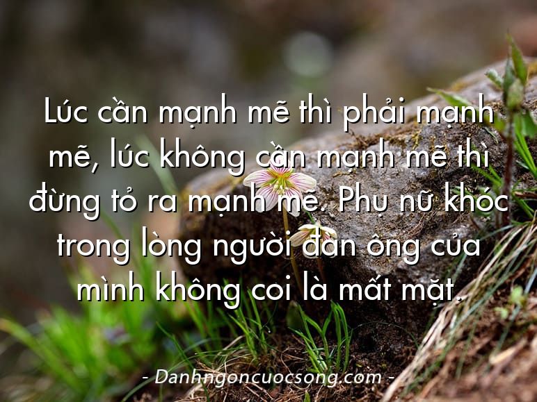 Lúc cần mạnh mẽ thì phải mạnh mẽ, lúc không cần mạnh mẽ thì đừng tỏ ra mạnh mẽ. Phụ nữ khóc trong lòng người đàn ông của mình không coi là mất mặt.