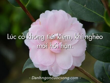 Lúc có không tiết kiệm, khi nghèo mới hối hận.