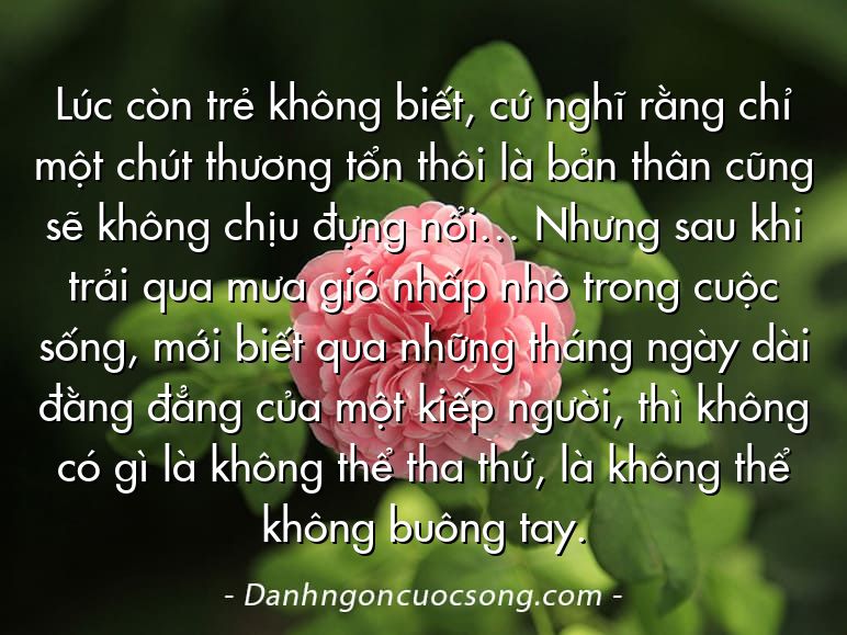 Lúc còn trẻ không biết, cứ nghĩ rằng chỉ một chút thương tổn thôi là bản thân cũng sẽ không chịu đựng nổi… Nhưng sau khi trải qua mưa gió nhấp nhô trong cuộc sống, mới biết qua những tháng ngày dài đằng đẳng của một kiếp người, thì không có gì là không thể tha thứ, là không thể không buông tay.