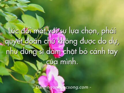 Lúc đối mặt với sự lựa chọn, phải quyết đoán chứ không được do dự, như dũng sĩ dám chặt bỏ cánh tay của mình.