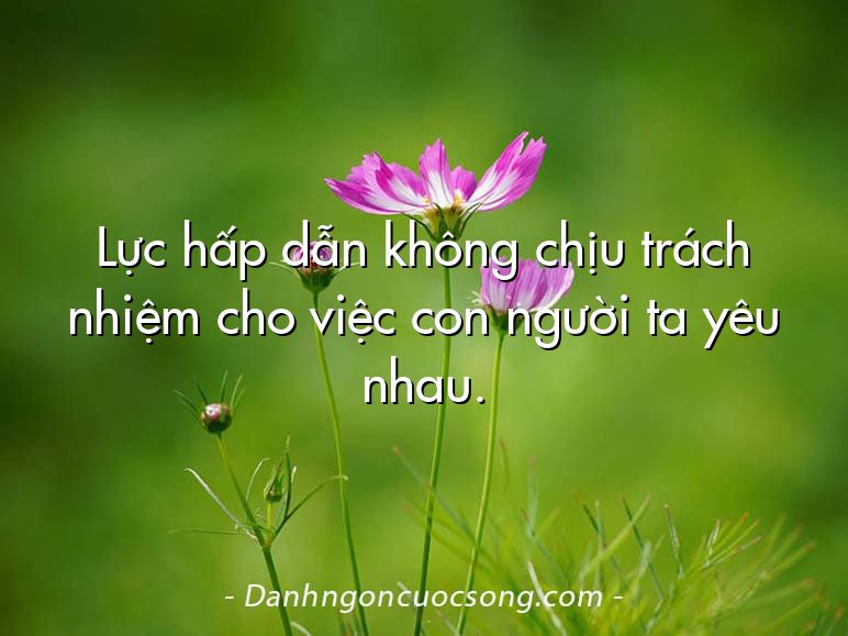 Lực hấp dẫn không chịu trách nhiệm cho việc con người ta yêu nhau.
