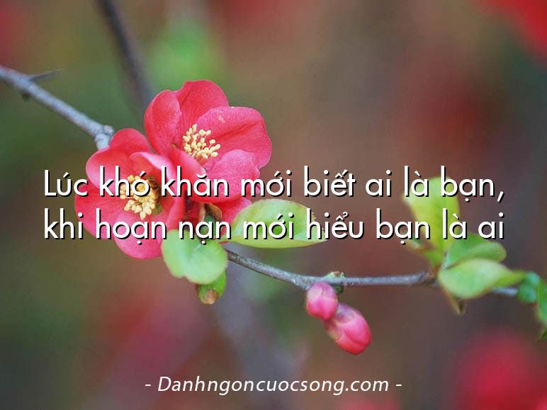 Lúc khó khăn mới biết ai là bạn, khi hoạn nạn mới hiểu bạn là ai