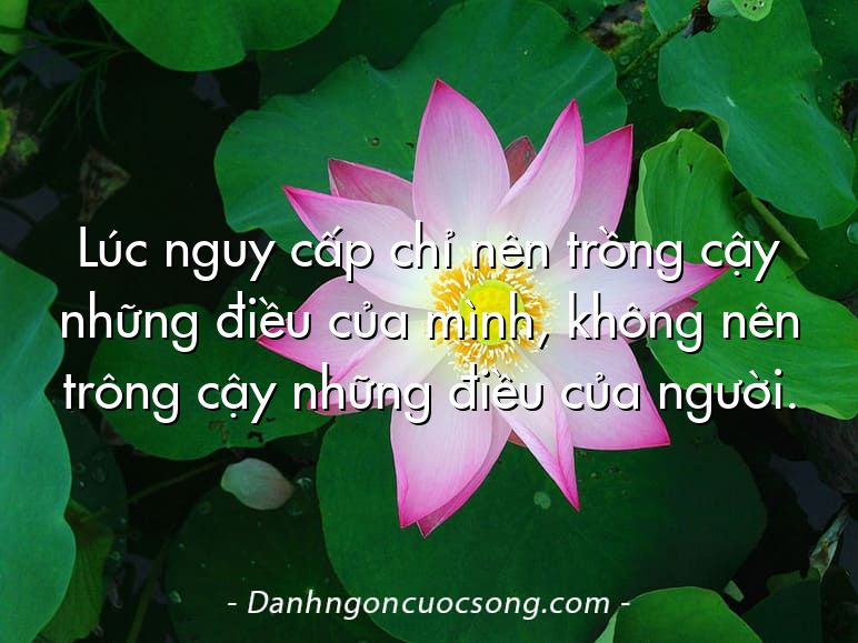 Lúc nguy cấp chỉ nên trồng cậy những điều của mình, không nên trông cậy những điều của người.