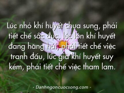 Lúc nhỏ khí huyết chưa sung, phải tiết chế sắc đục, lúc lớn khí huyết đang hăng hái, phải tiết chế việc tranh đấu, lúc già khí huyết suy kém, phải tiết chế việc tham lam.