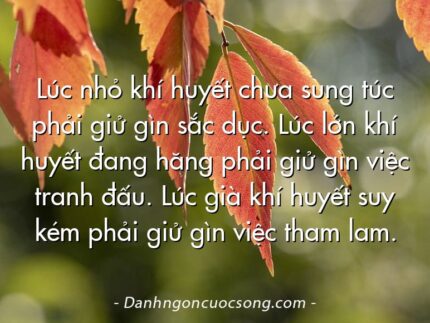 Lúc nhỏ khí huyết chưa sung túc phải giử gìn sắc dục. Lúc lớn khí huyết đang hăng phải giử gìn việc tranh đấu. Lúc già khí huyết suy kém phải giử gìn việc tham lam.