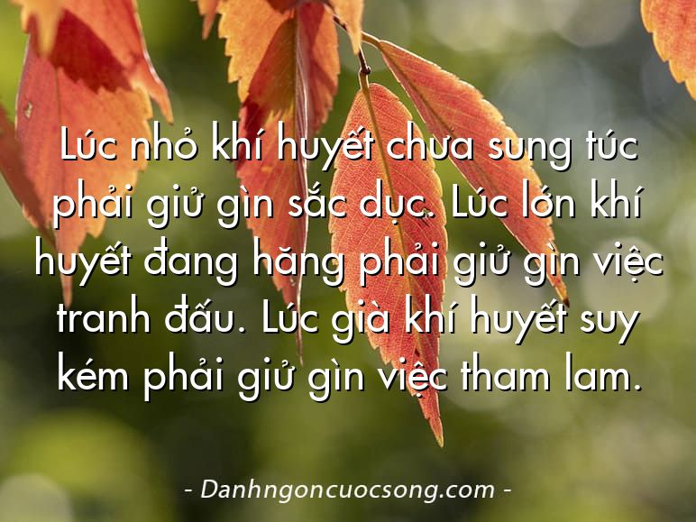 Lúc nhỏ khí huyết chưa sung túc phải giử gìn sắc dục. Lúc lớn khí huyết đang hăng phải giử gìn việc tranh đấu. Lúc già khí huyết suy kém phải giử gìn việc tham lam.