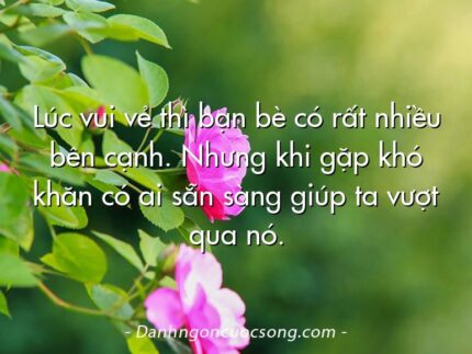 Lúc vui vẻ thì bạn bè có rất nhiều bên cạnh. Nhưng khi gặp khó khăn có ai sẵn sàng giúp ta vượt qua nó.