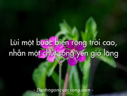 Lùi một bước biển rộng trời cao, nhẫn một chút sóng yên gió lặng