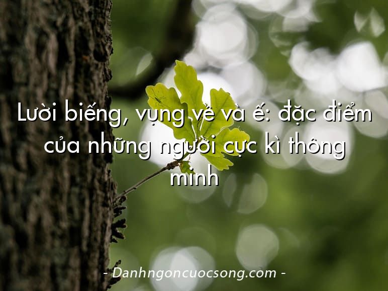 Lười biếng, vụng về và ế: đặc điểm của những người cực kì thông minh