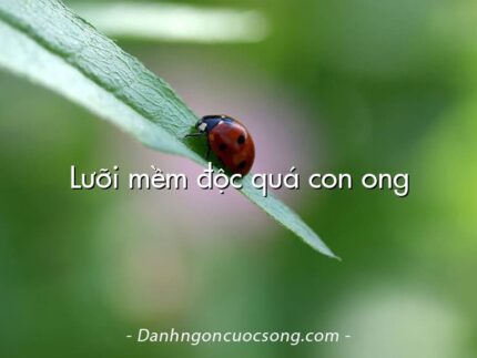 Lưỡi mềm độc quá con ong