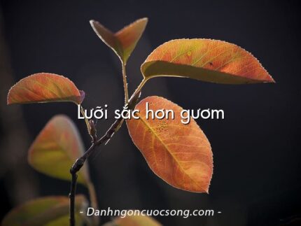 Lưỡi sắc hơn gươm