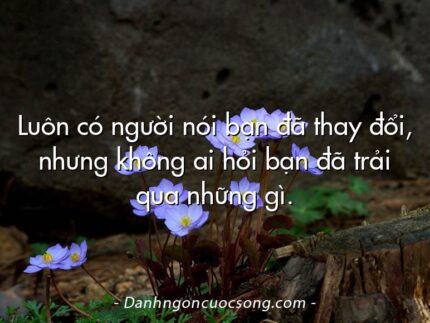 Luôn có người nói bạn đã thay đổi, nhưng không ai hỏi bạn đã trải qua những gì.