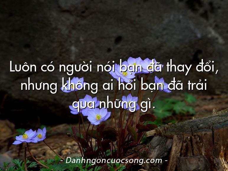 Luôn có người nói bạn đã thay đổi, nhưng không ai hỏi bạn đã trải qua những gì.