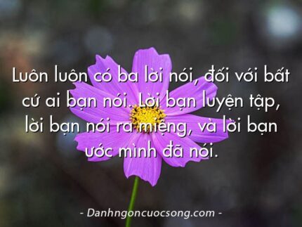 Luôn luôn có ba lời nói, đối với bất cứ ai bạn nói. Lời bạn luyện tập, lời bạn nói ra miệng, và lời bạn ước mình đã nói.