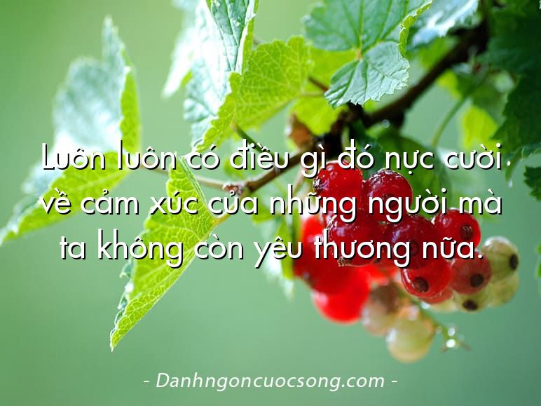 Luôn luôn có điều gì đó nực cười về cảm xúc của những người mà ta không còn yêu thương nữa.