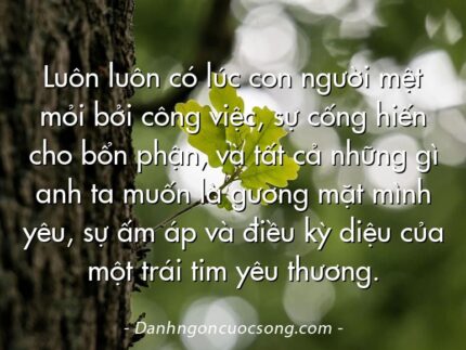Luôn luôn có lúc con người mệt mỏi bởi công việc, sự cống hiến cho bổn phận, và tất cả những gì anh ta muốn là gương mặt mình yêu, sự ấm áp và điều kỳ diệu của một trái tim yêu thương.