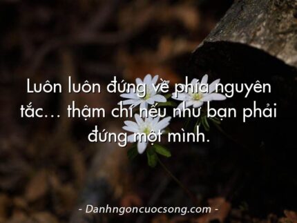Luôn luôn đứng về phía nguyên tắc… thậm chí nếu như bạn phải đứng một mình.