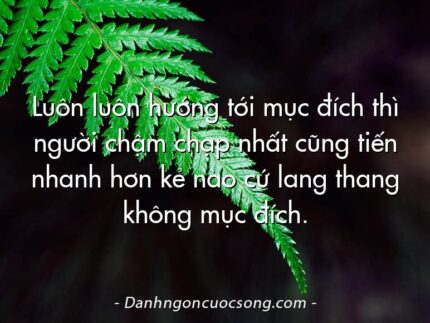 Luôn luôn hướng tới mục đích thì người chậm chạp nhất cũng tiến nhanh hơn kẻ nào cứ lang thang không mục đích.