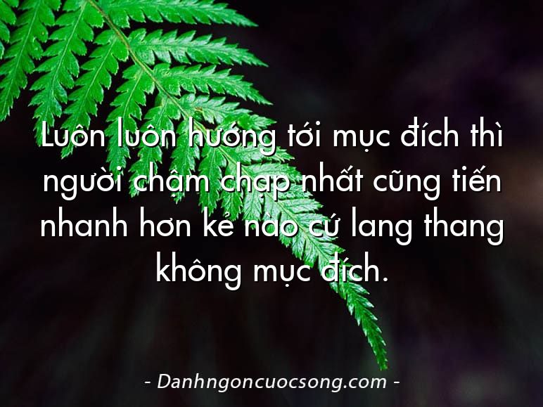 Luôn luôn hướng tới mục đích thì người chậm chạp nhất cũng tiến nhanh hơn kẻ nào cứ lang thang không mục đích.