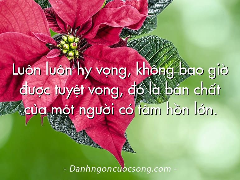 Luôn luôn hy vọng, không bao giờ được tuyệt vong, đó là bản chất của một người có tâm hồn lớn.