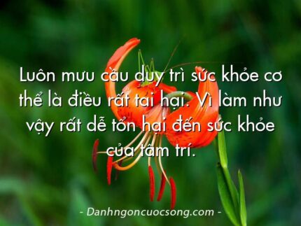 Luôn mưu cầu duy trì sức khỏe cơ thể là điều rất tai hại. Vì làm như vậy rất dễ tổn hại đến sức khỏe của tâm trí.