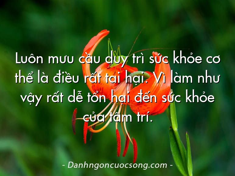 Luôn mưu cầu duy trì sức khỏe cơ thể là điều rất tai hại. Vì làm như vậy rất dễ tổn hại đến sức khỏe của tâm trí.