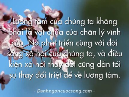 Lương tâm của chúng ta không phải là vật chứa của chân lý vĩnh cửu. Nó phát triển cùng với đời sống xã hội của chúng ta, và điều kiện xã hội thay đổi cũng dẫn tới sự thay đổi triệt để về lương tâm.
