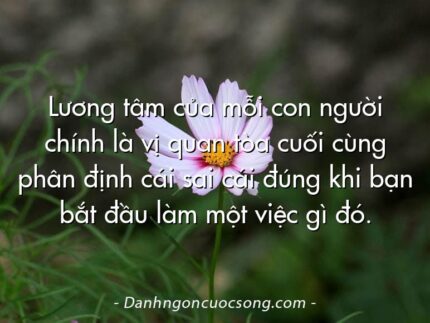 Lương tâm của mỗi con người chính là vị quan tòa cuối cùng phân định cái sai cái đúng khi bạn bắt đầu làm một việc gì đó.