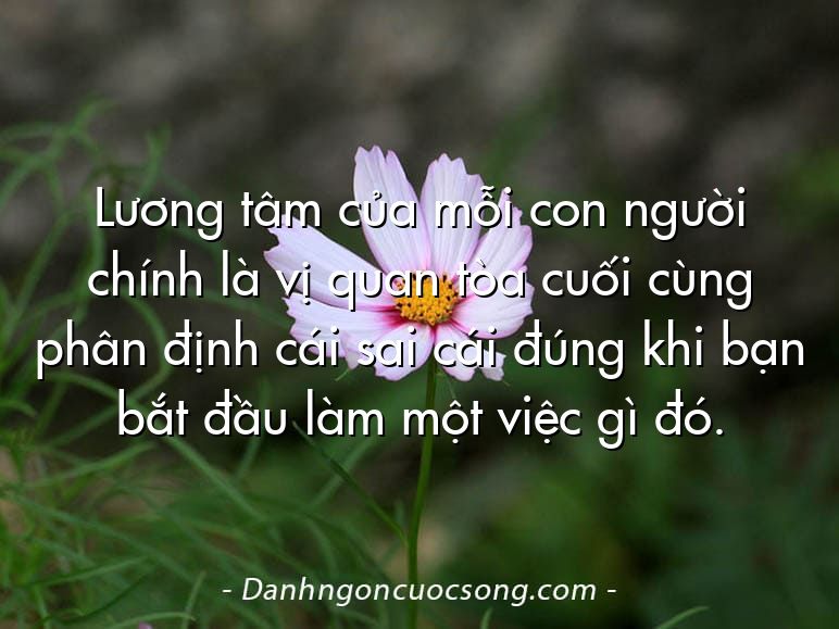 Lương tâm của mỗi con người chính là vị quan tòa cuối cùng phân định cái sai cái đúng khi bạn bắt đầu làm một việc gì đó.
