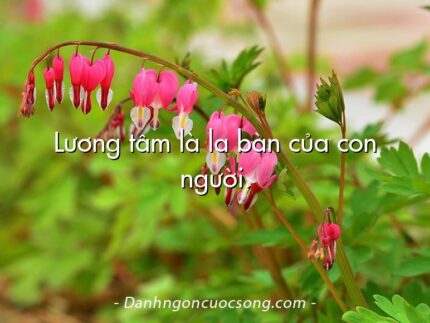 Lương tâm là la bàn của con người.