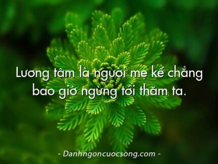 Lương tâm là người mẹ kế chẳng bao giờ ngừng tới thăm ta.