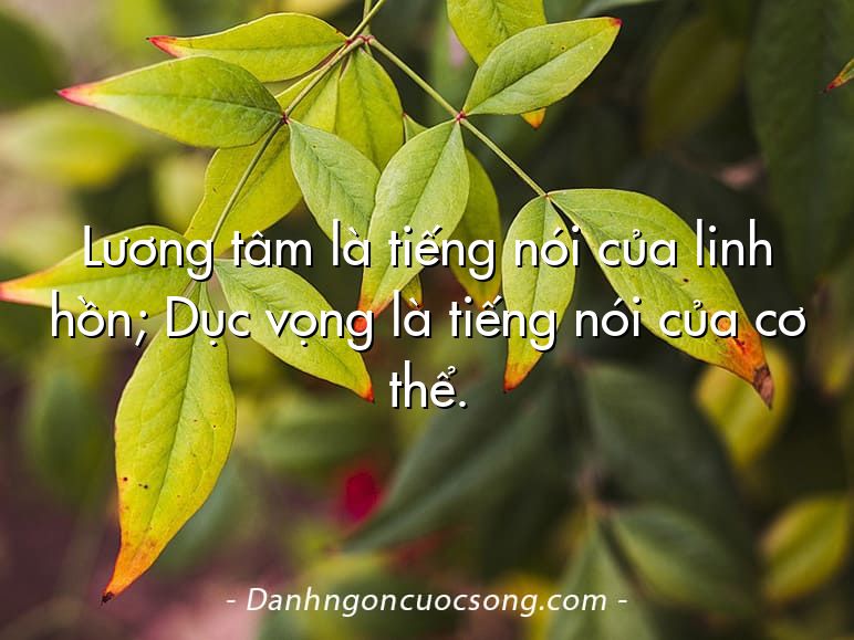 Lương tâm là tiếng nói của linh hồn; Dục vọng là tiếng nói của cơ thể.