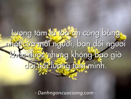 Lương tâm là tòa án công bằng nhất của mỗi người, bạn dối người khác được nhưng không bao giờ dối nổi lương tâm mình.
