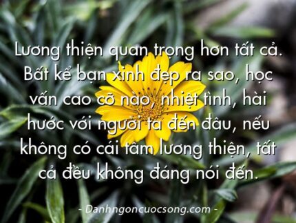 Lương thiện quan trọng hơn tất cả. Bất kể bạn xinh đẹp ra sao, học vấn cao cỡ nào, nhiệt tình, hài hước với người ta đến đâu, nếu không có cái tâm lương thiện, tất cả đều không đáng nói đến.