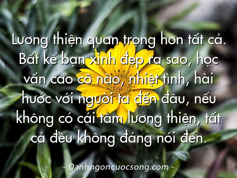 Lương thiện quan trọng hơn tất cả. Bất kể bạn xinh đẹp ra sao, học vấn cao cỡ nào, nhiệt tình, hài hước với người ta đến đâu, nếu không có cái tâm lương thiện, tất cả đều không đáng nói đến.