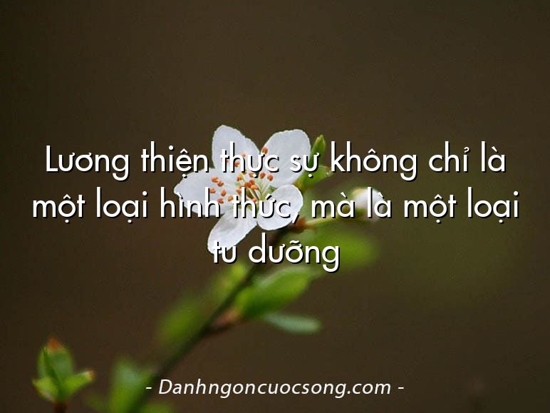 Lương thiện thực sự không chỉ là một loại hình thức, mà là một loại tu dưỡng