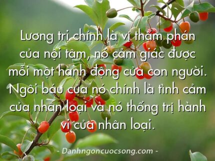 Lương tri chính là vị thẩm phán của nội tâm, nó cảm giác được mỗi một hành động của con người. Ngôi báu của nó chính là tình cảm của nhân loại và nó thống trị hành vi của nhân loại.